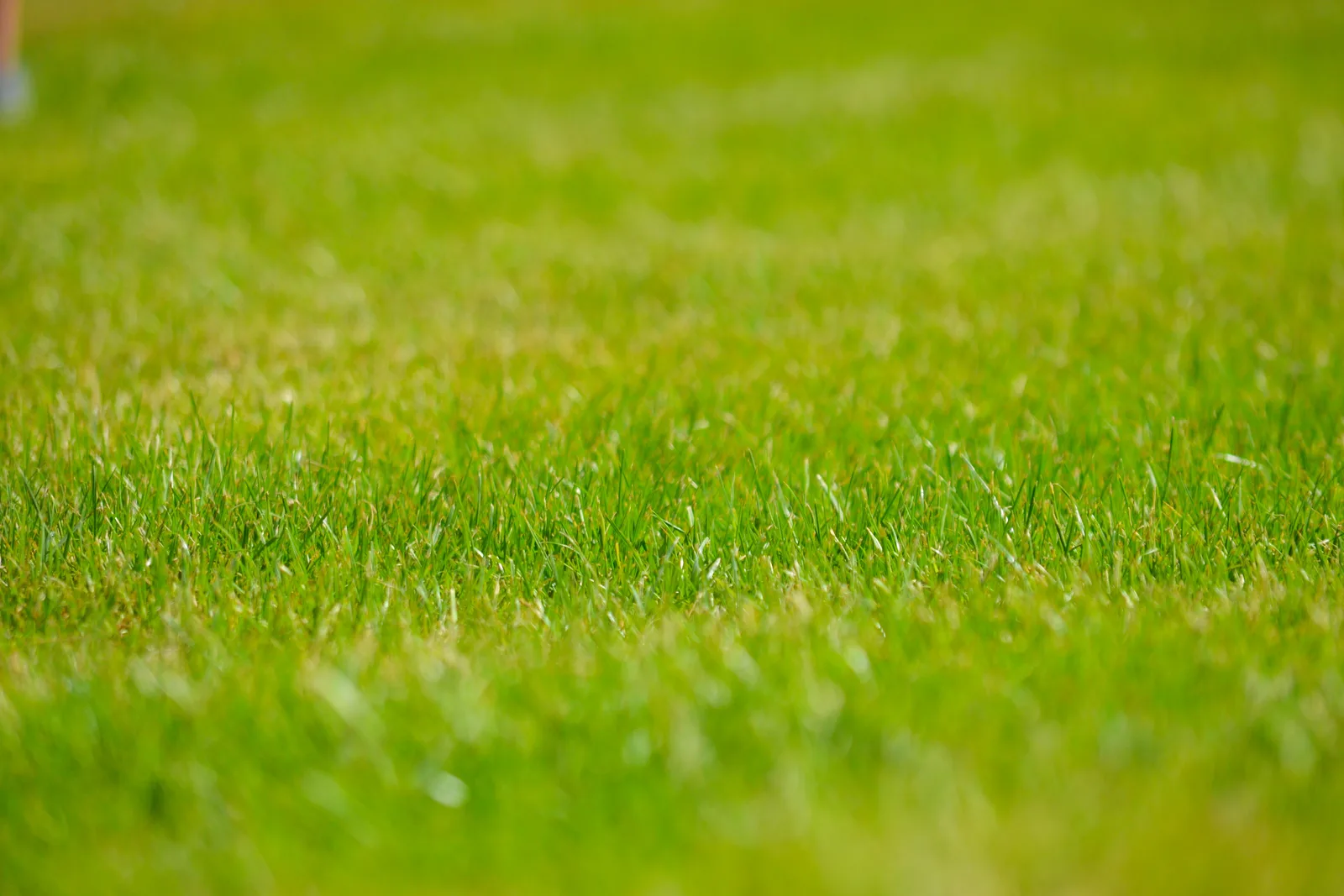 StokePark-74.JPG